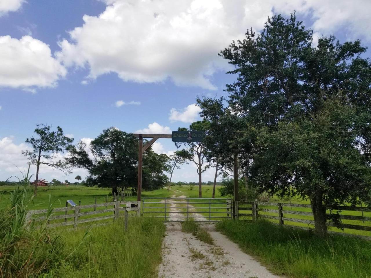 Xxx Fox Brown Road - Photo 1