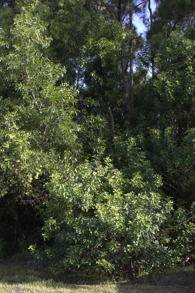 6371 Regal Circle - Photo 1