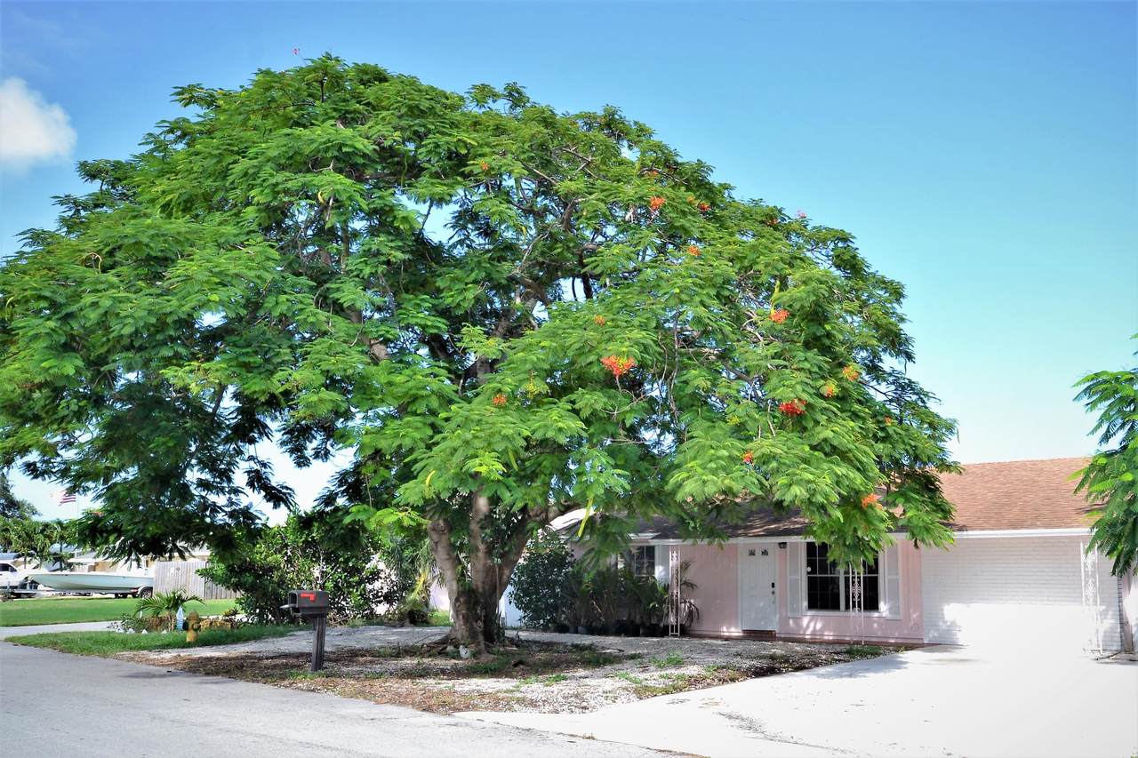 6720 Osborne Drive - Photo 1