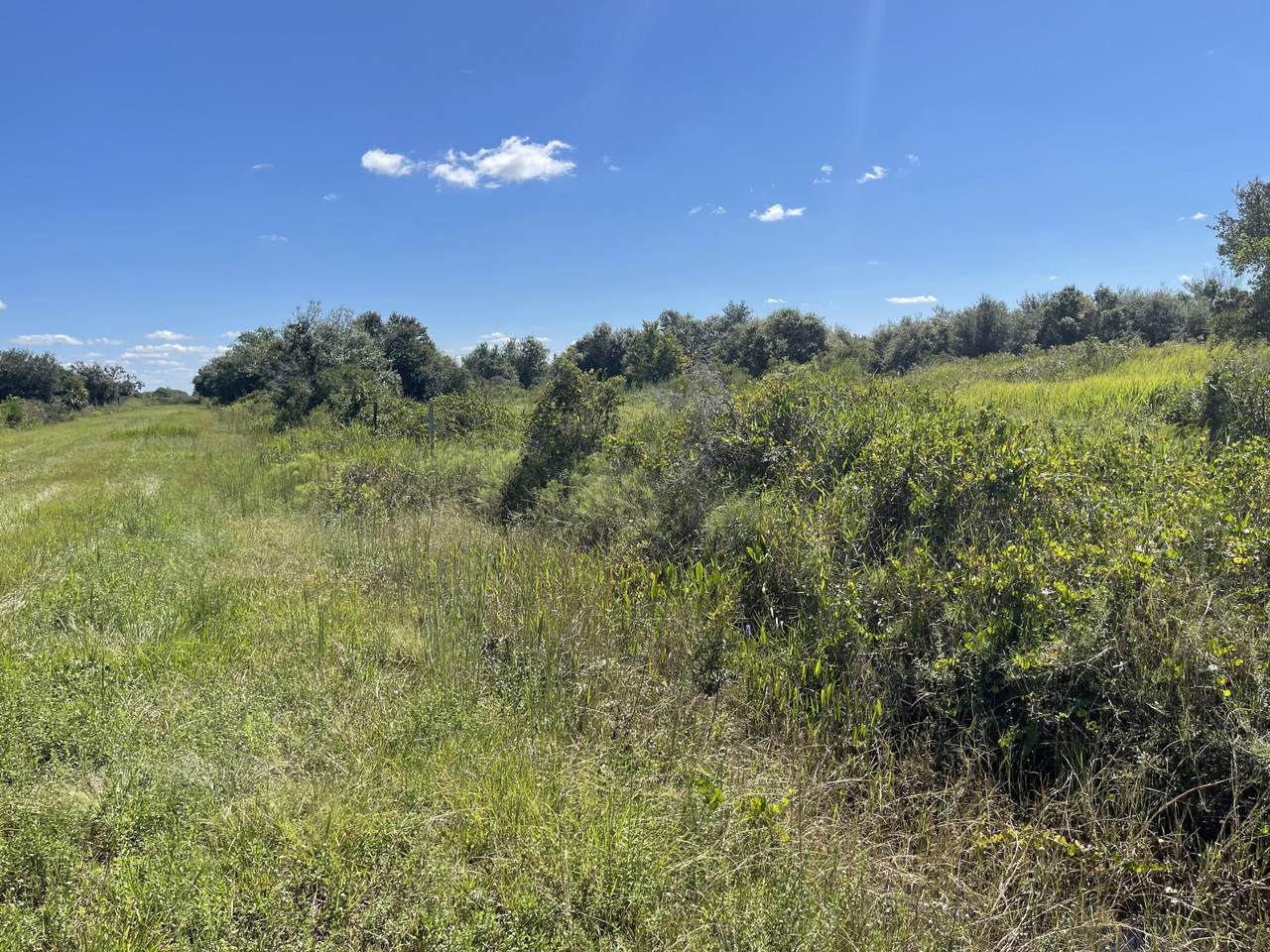 21878 268th Street - Photo 1