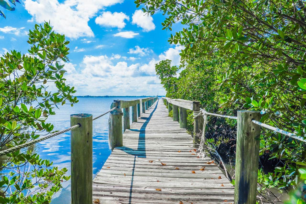 10191 Ocean Drive - Photo 1