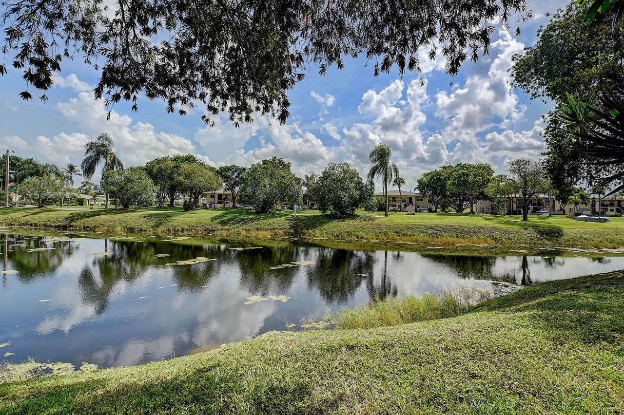 13430 Sabal Palm Court - Photo 1