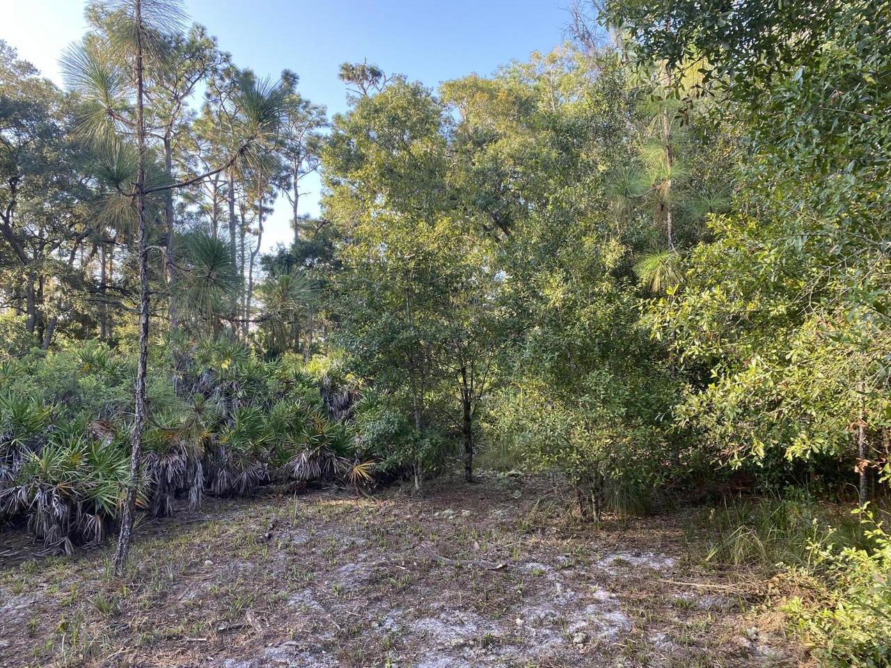 0 Indian Lake Drive - Photo 1