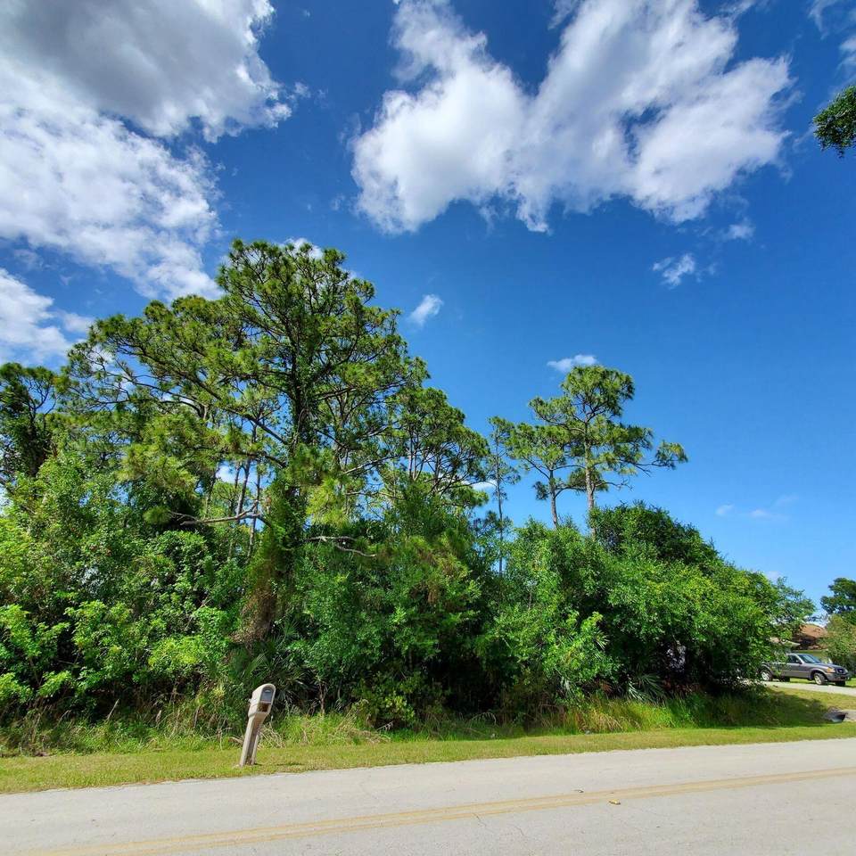 8408 Winter Garden Parkway - Photo 1