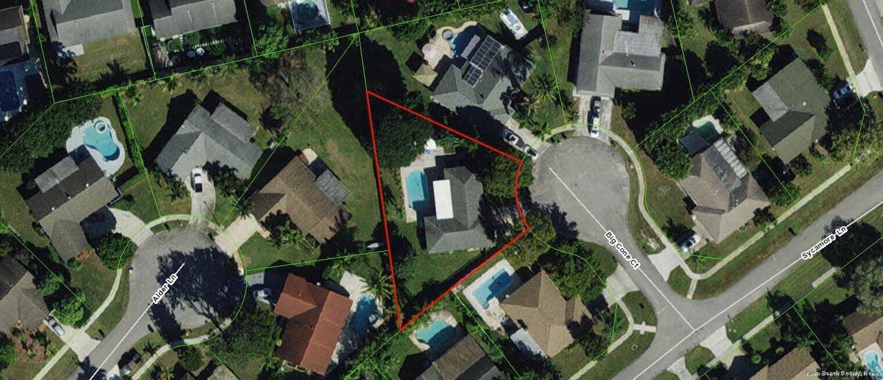 12145 Big Cone Ct Court - Photo 1
