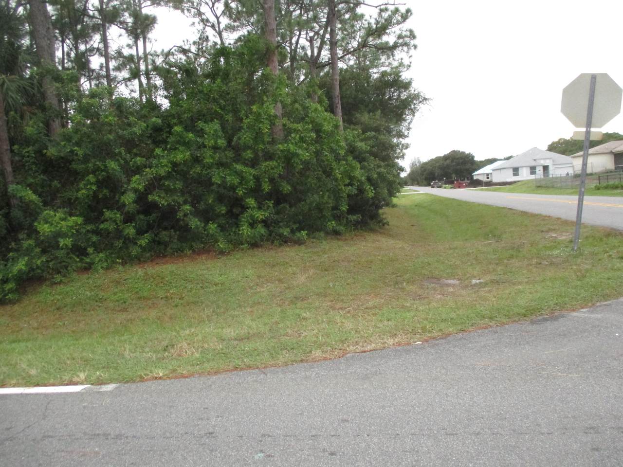 5611 Palm Drive - Photo 1