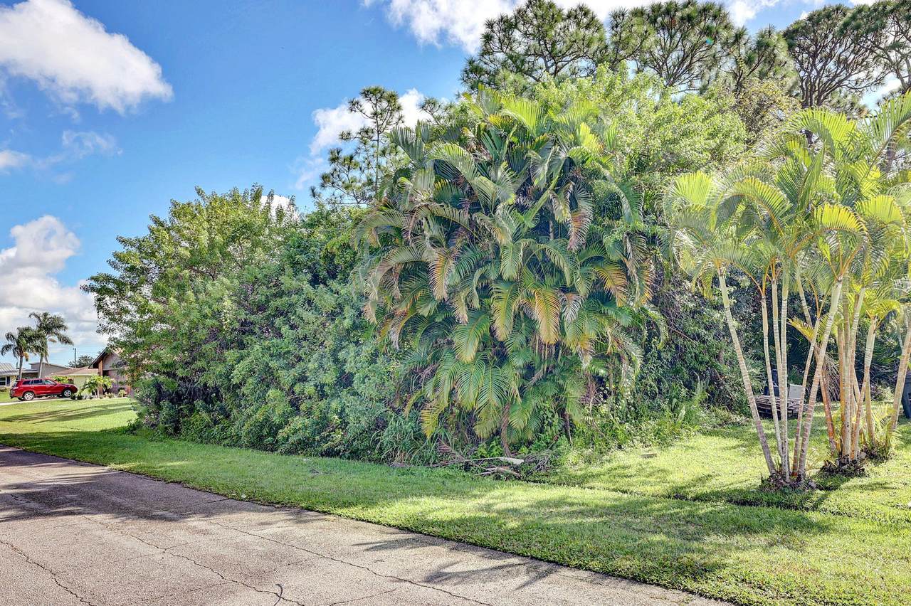 210 Starflower Avenue - Photo 1