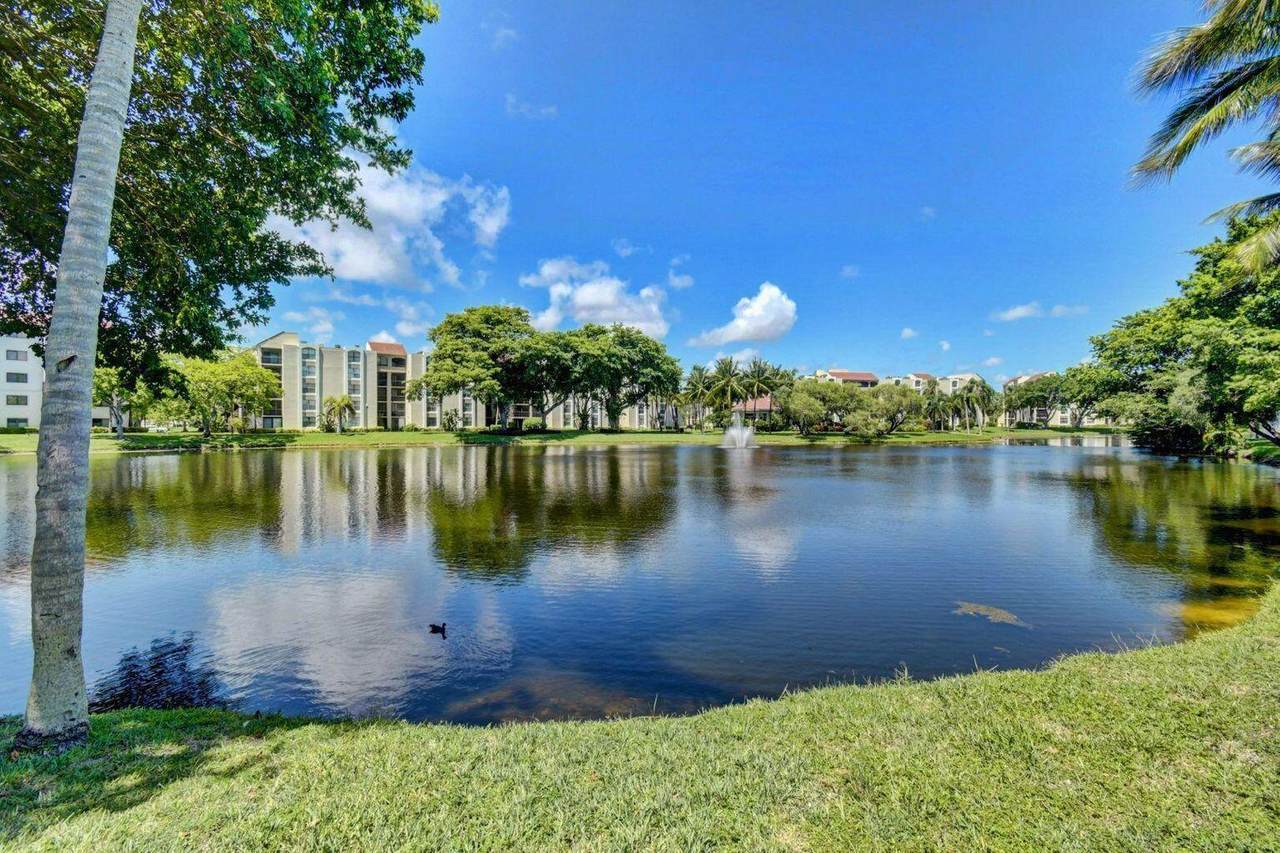 955 Egret Circle - Photo 1