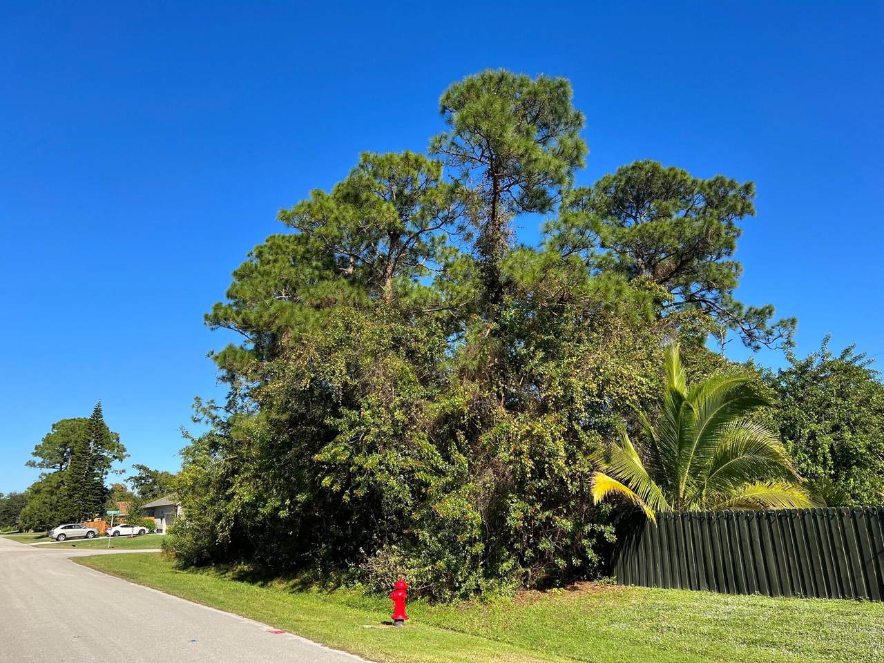 1270 Bargello Avenue - Photo 1