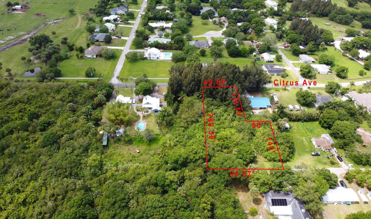 Xxx Citrus Avenue - Photo 1