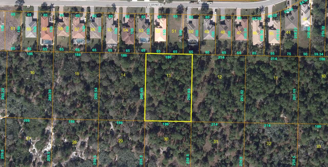 0 Conifer Drive - Photo 1