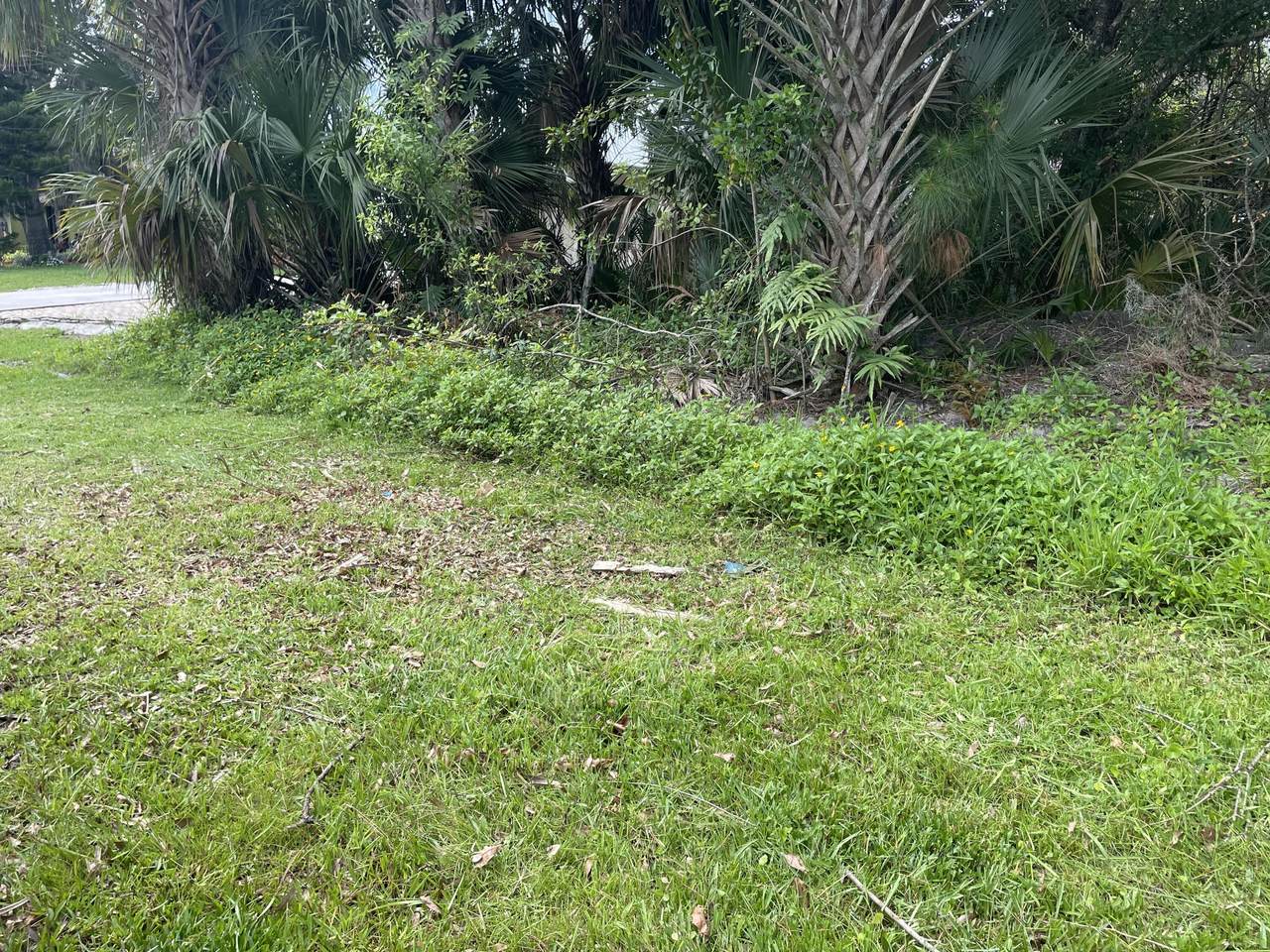755 Alton Circle - Photo 1