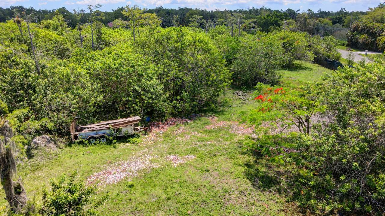 16609 Tangerine Boulevard - Photo 1