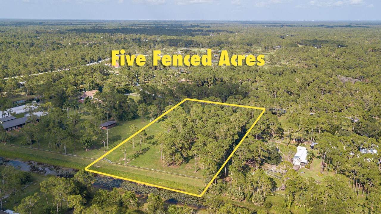 14415 Peace River Way - Photo 1