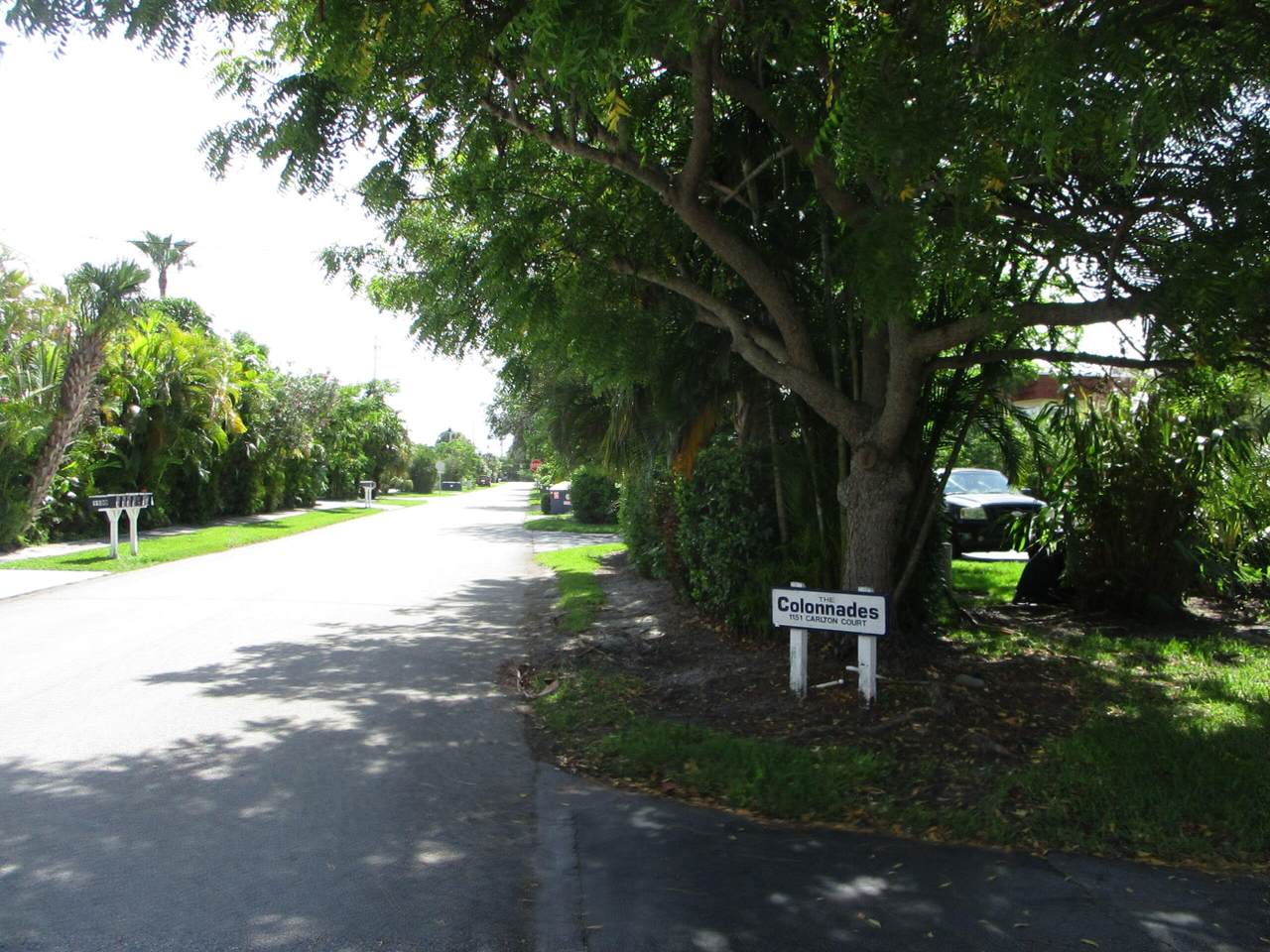1151 Carlton Court - Photo 1