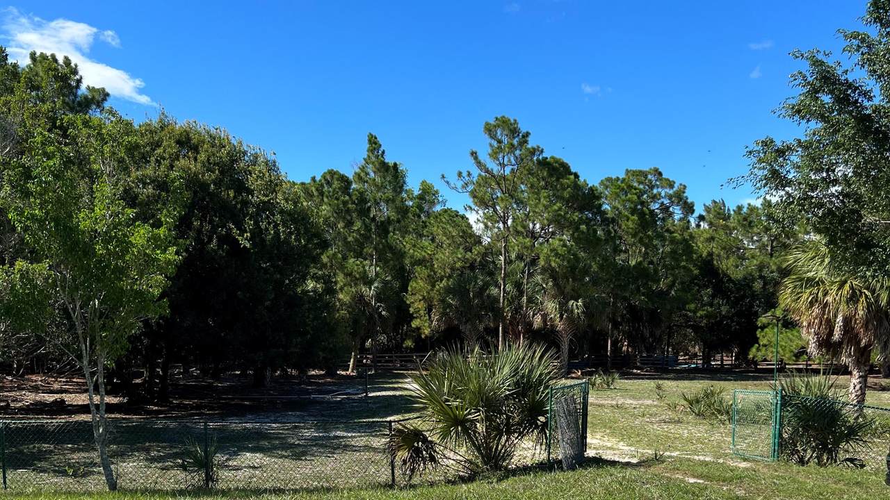 19421 Sycamore Drive - Photo 1