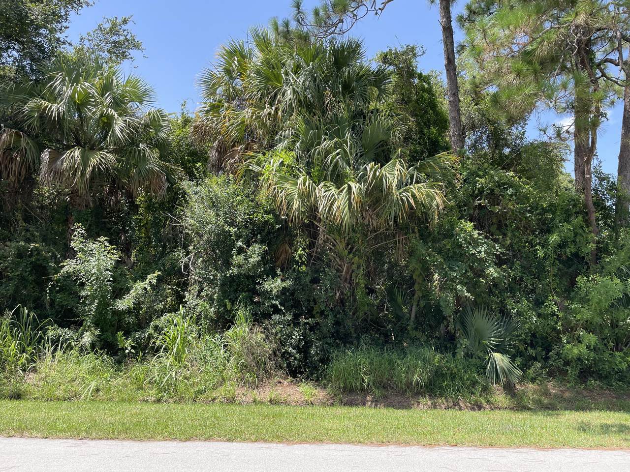 1617 Herder Road - Photo 1