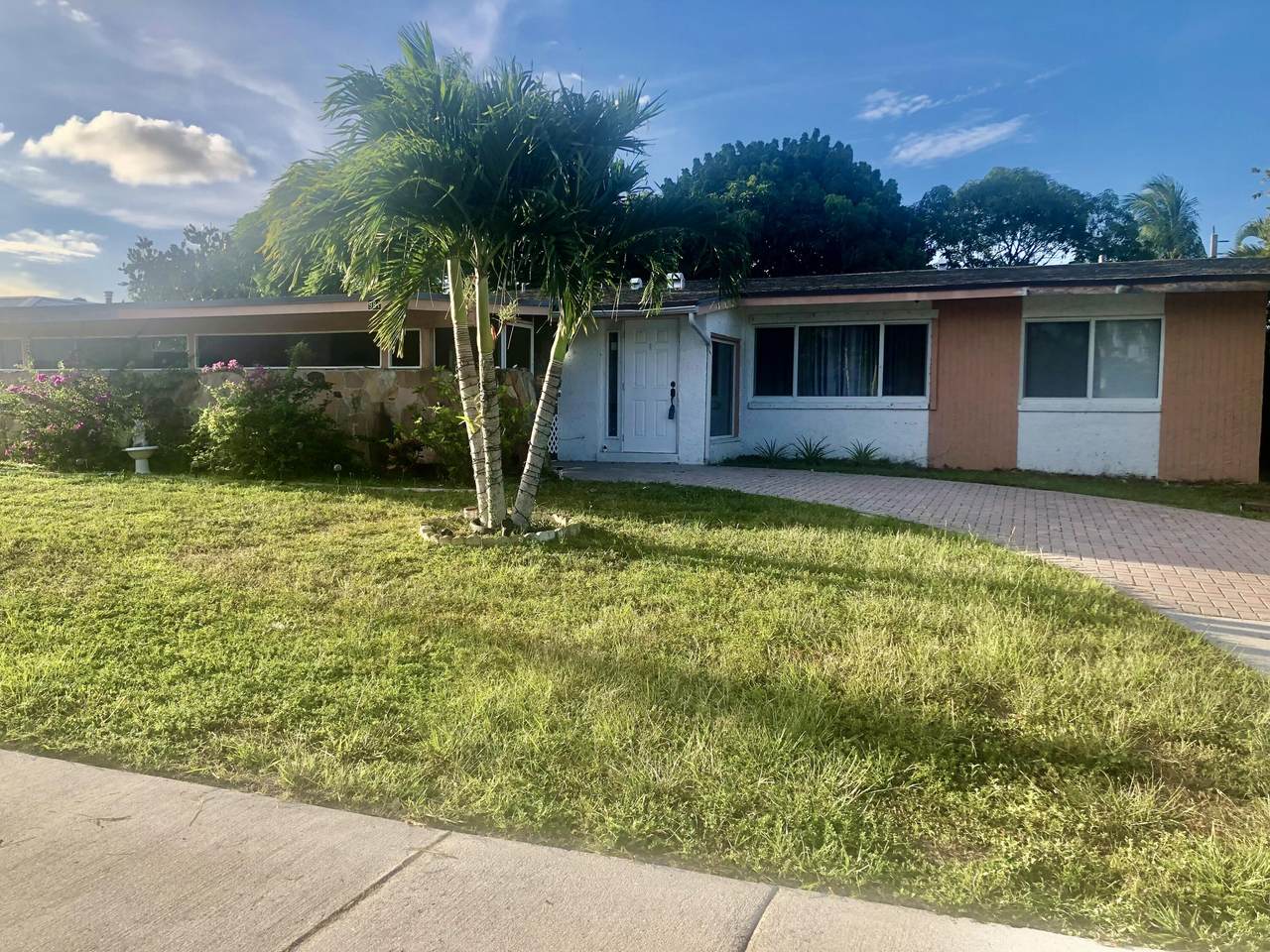 981 Orchid Drive - Photo 1