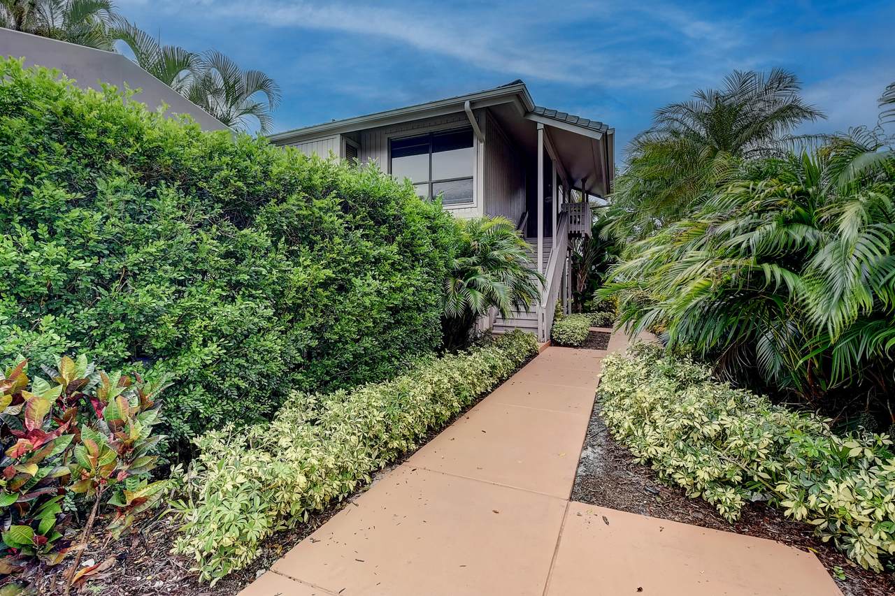 6985 Rain Forest Drive - Photo 1