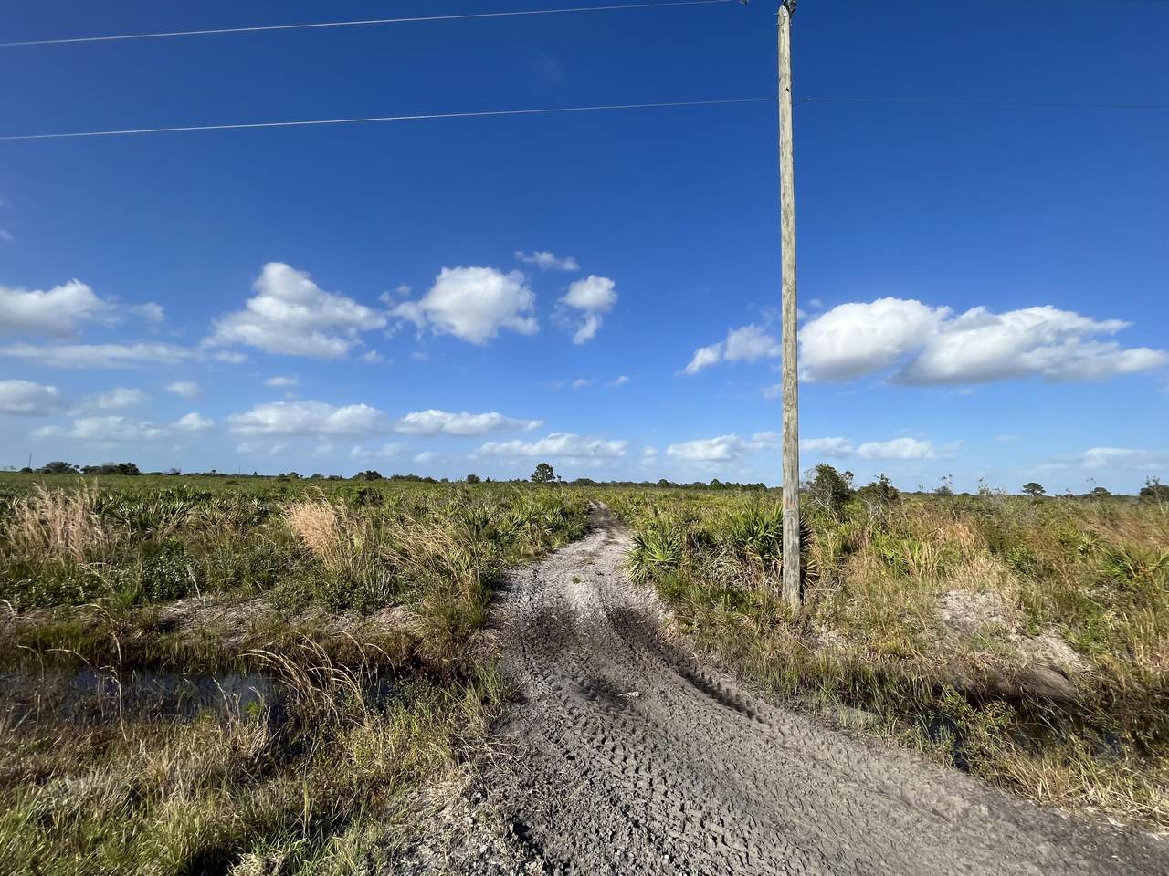 22179 276th Street - Photo 1