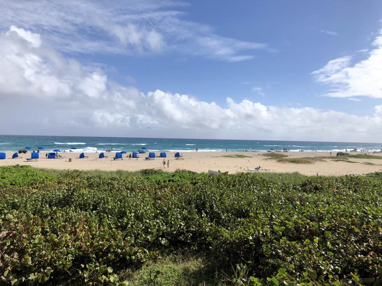 2800 Ocean Drive - Photo 1