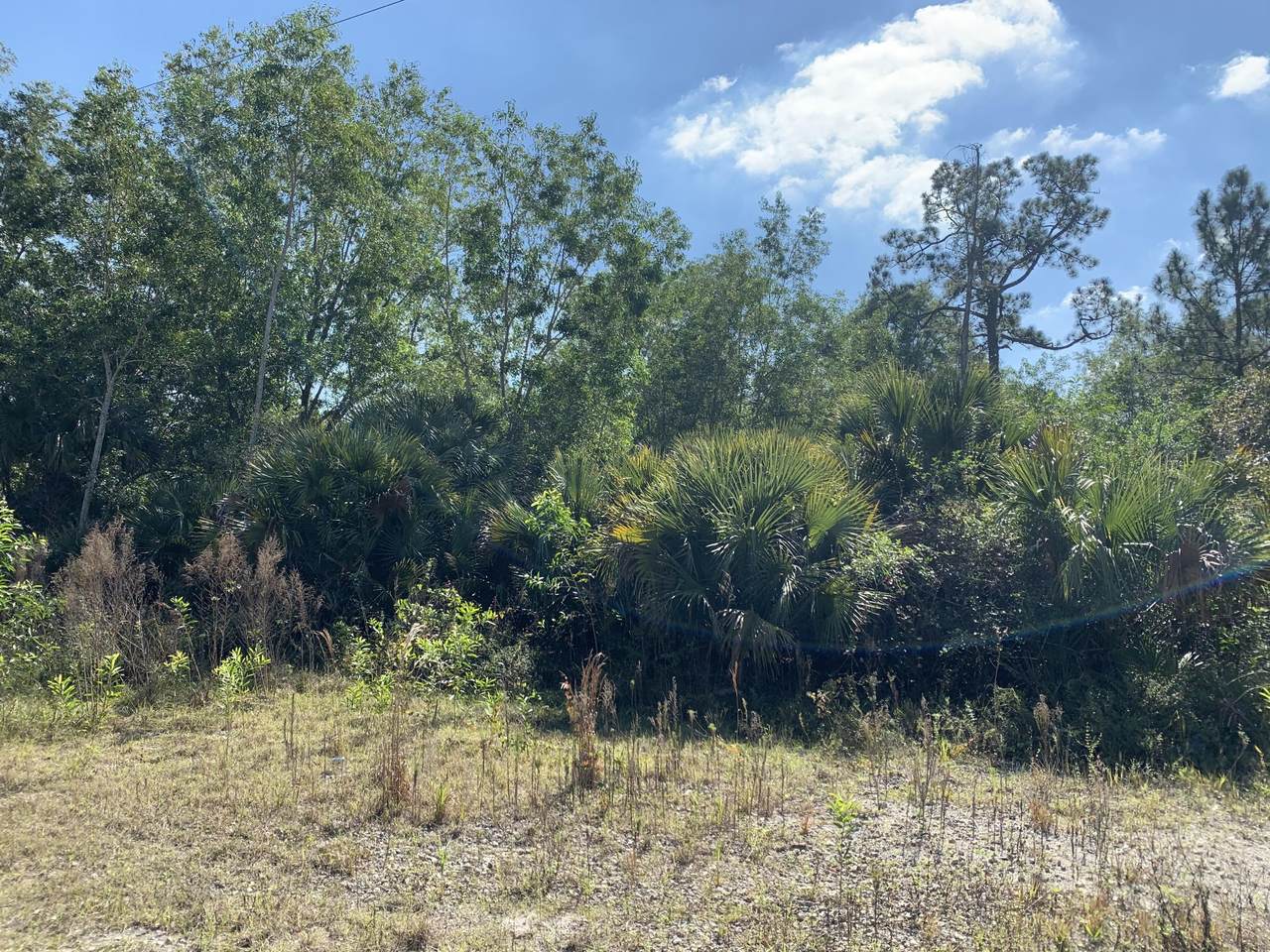 20452 Cole Lane - Photo 1