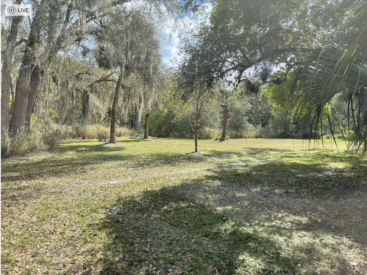 4090 Sunrise Boulevard - Photo 1