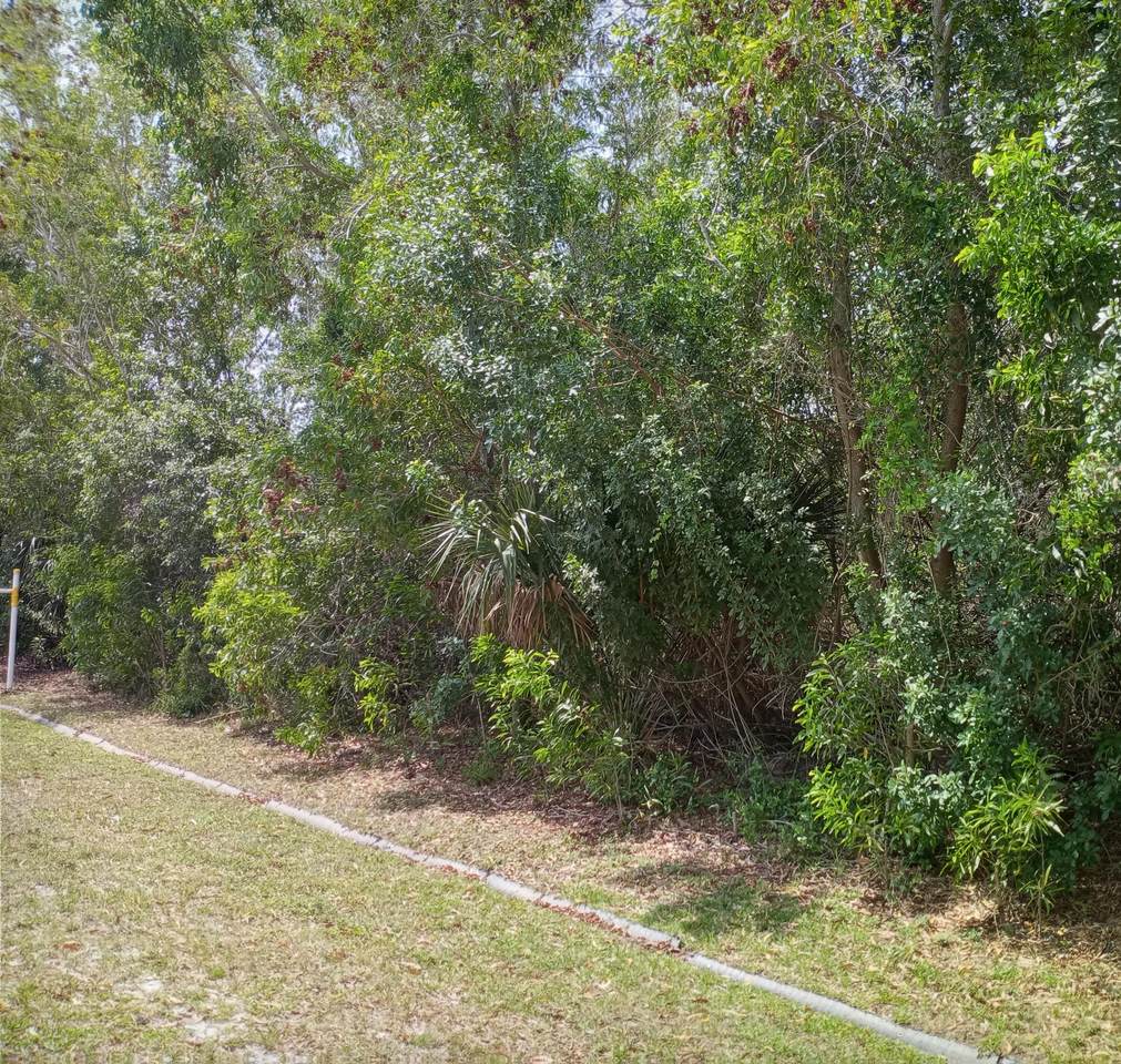 2216 Braddock Street - Photo 1