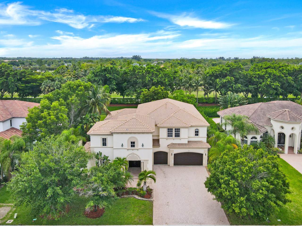 12317 Equine Lane - Photo 1