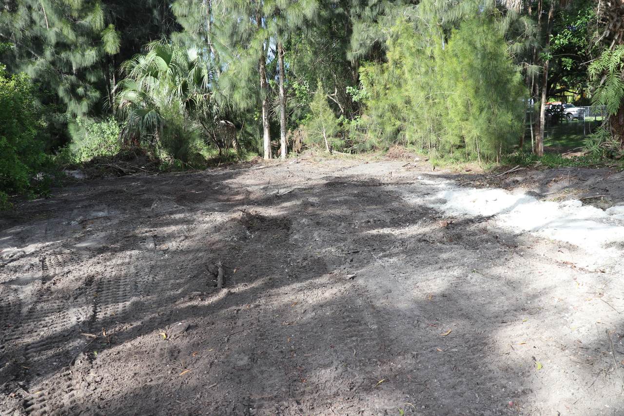 3781 Dixie Ross Street - Photo 1