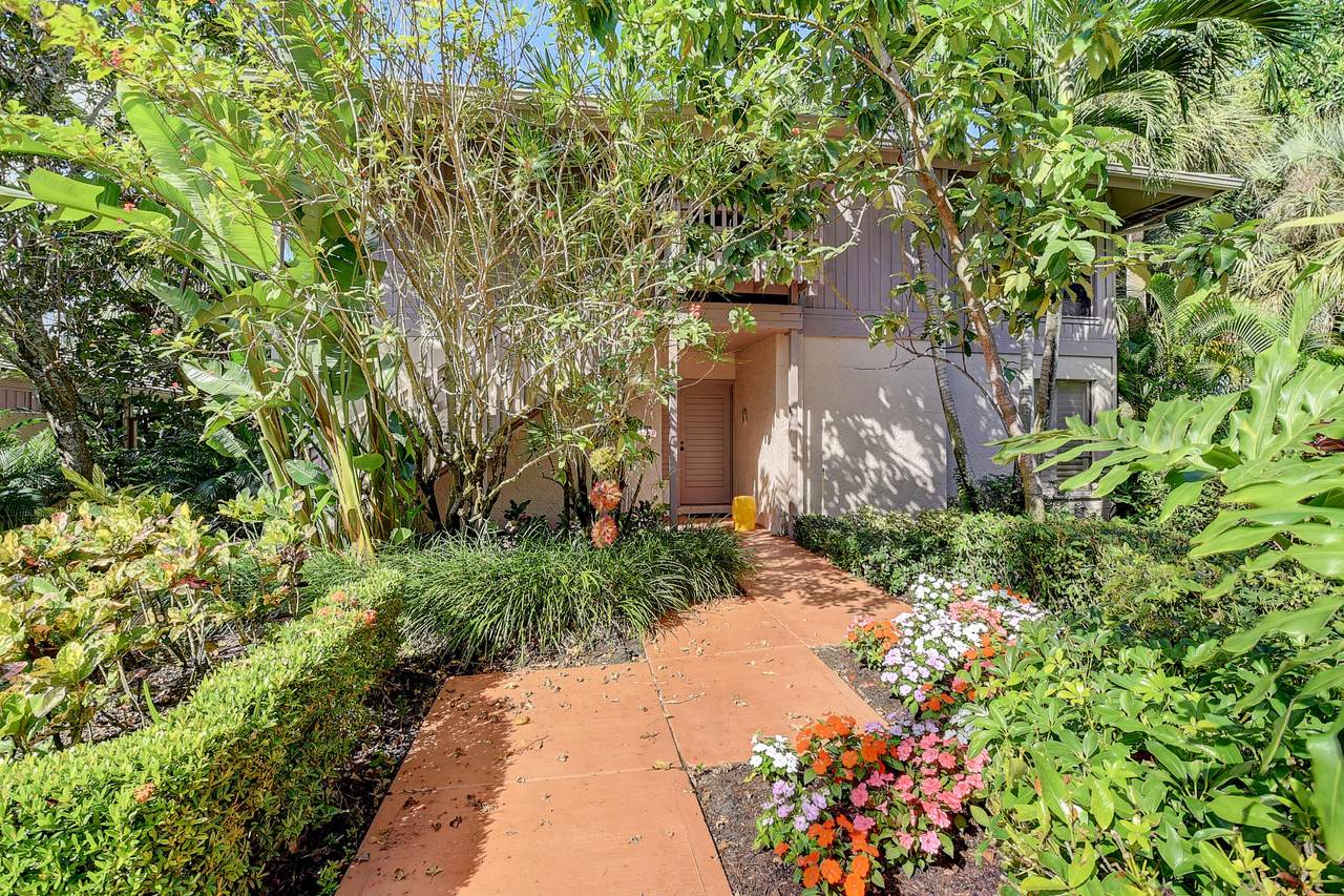 7099 Rain Forest Drive - Photo 1