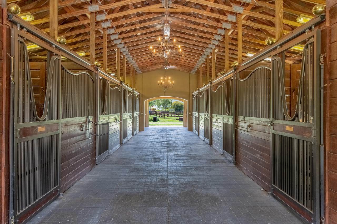 14829 Rolling Rock Place - Photo 1 14829 Rolling Rock Place - Photo 1