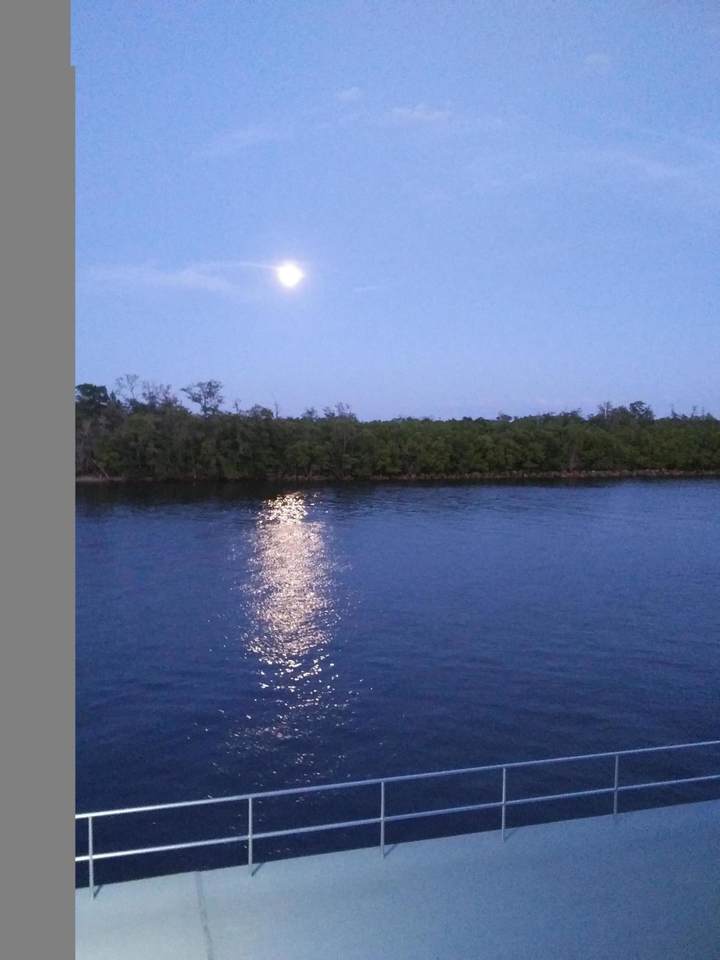 620 Horizons - Photo 1