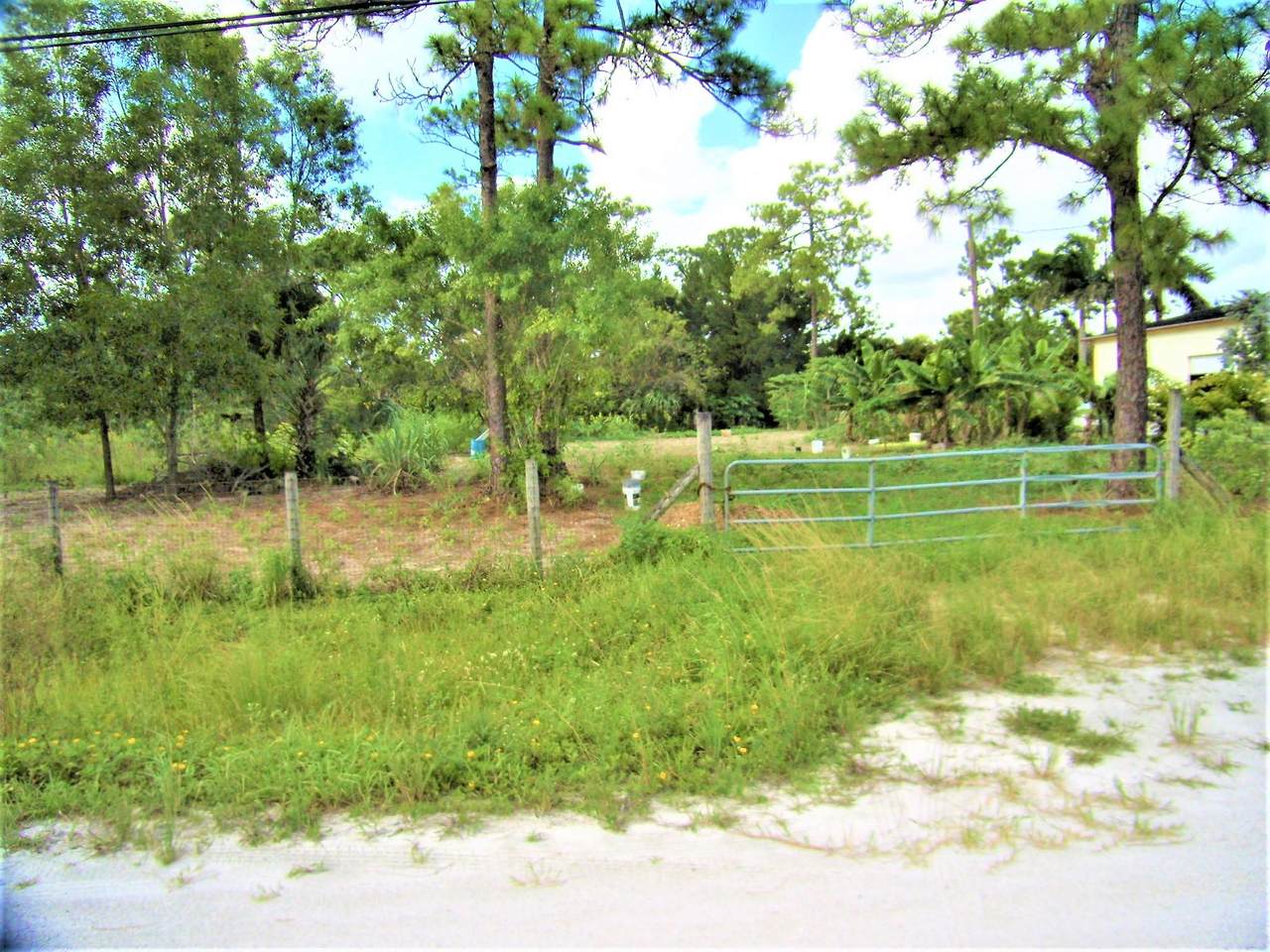16351 Pimlico Drive - Photo 1