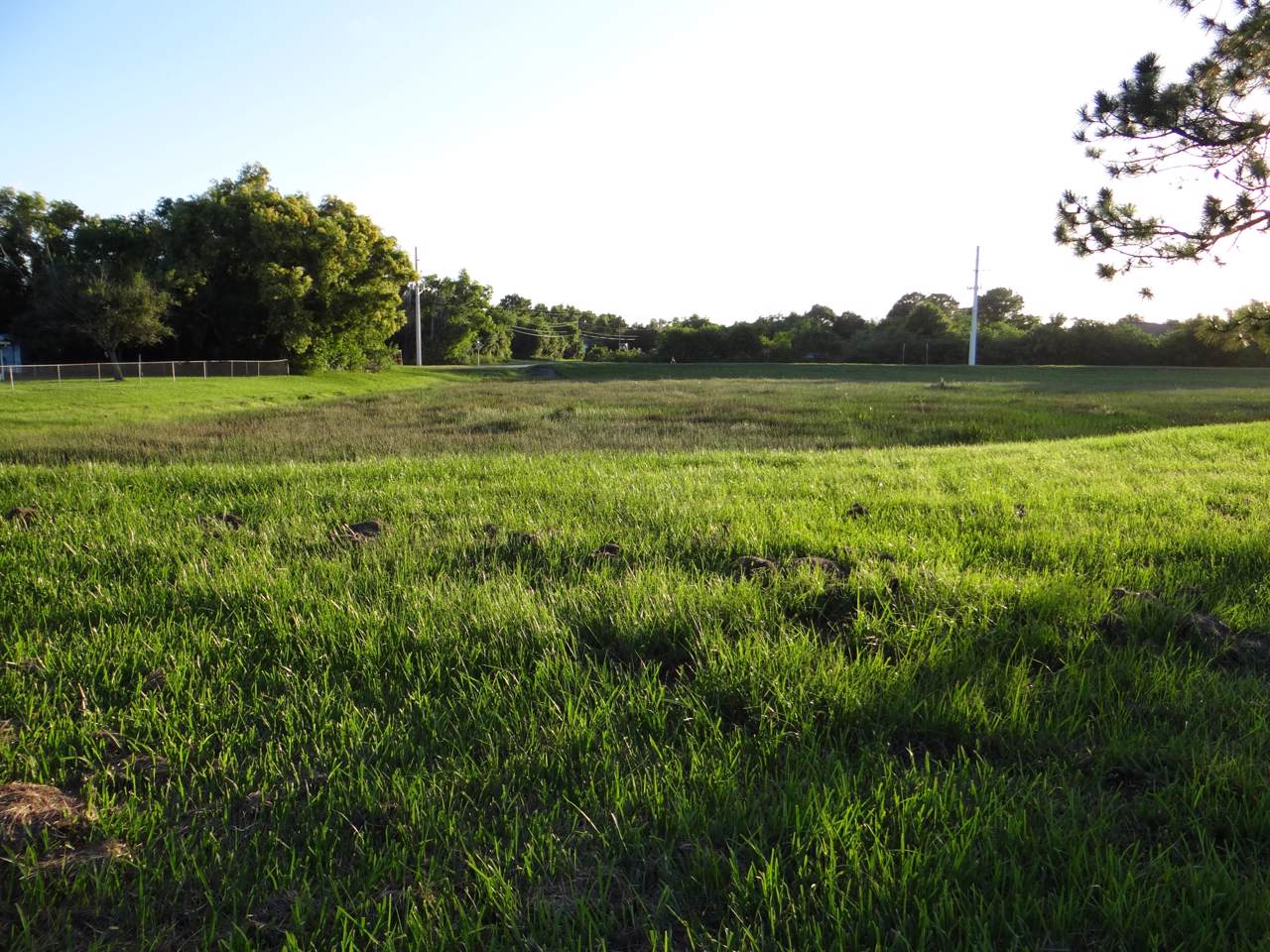 5384 Nassau Lane - Photo 1