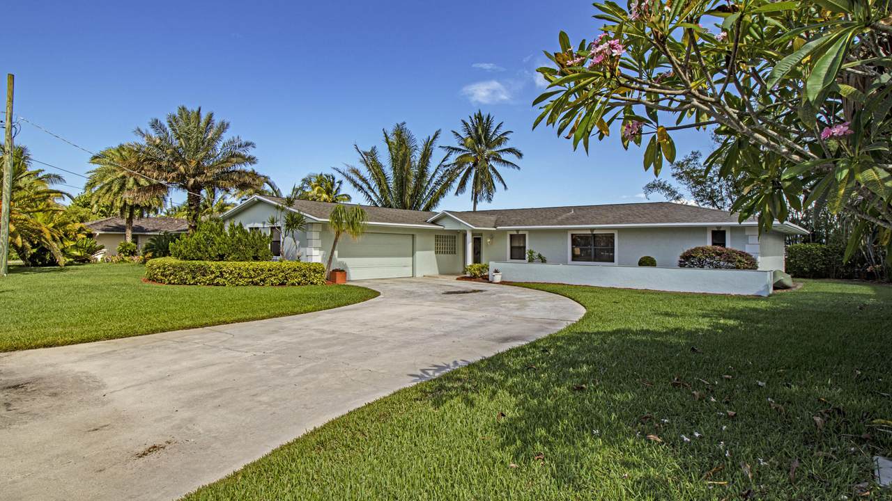 8358 Coconut Street - Photo 1