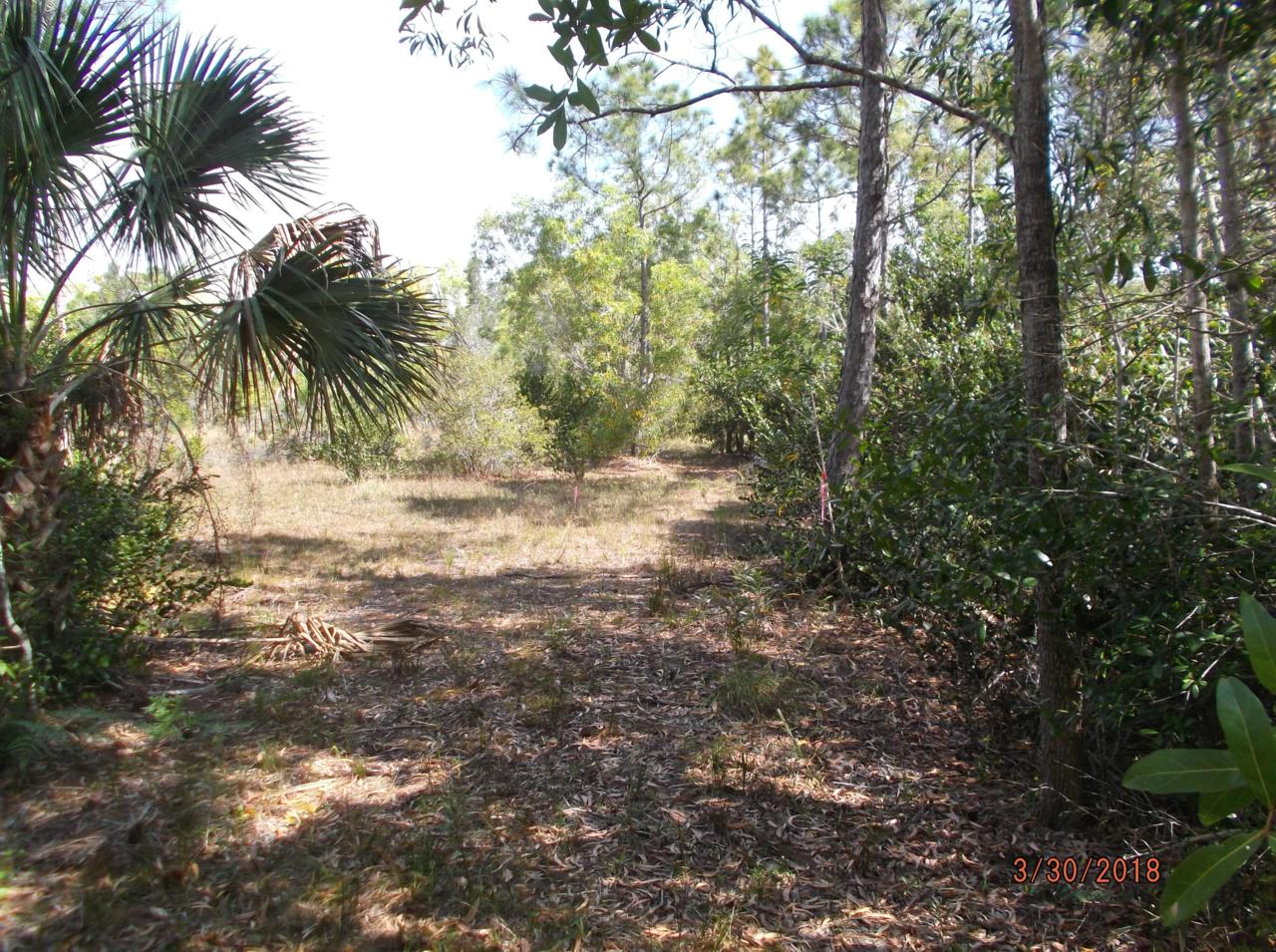 Vacant Lot 188th Street - Photo 1