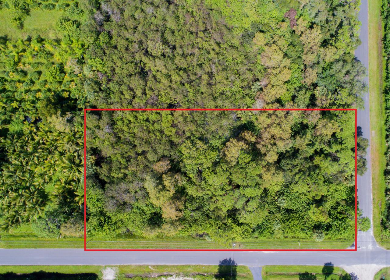 Lot Sandy Run - Photo 1
