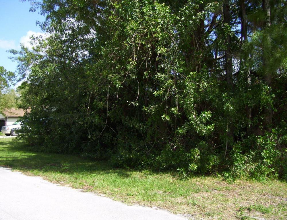 61 Dogwood Loop - Photo 1