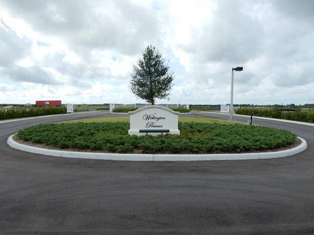 10689 Wellington Preserve Boulevard - Photo 1