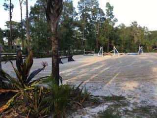 14845 Collecting Canal Road - Photo 1