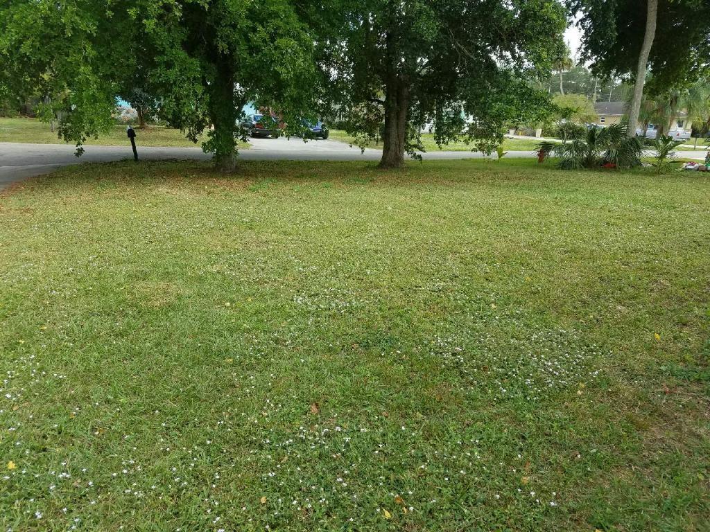167 Highland Park Drive - Photo 1