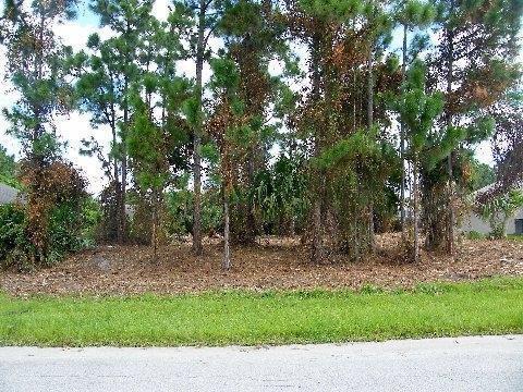 1013 Eureka Avenue - Photo 1