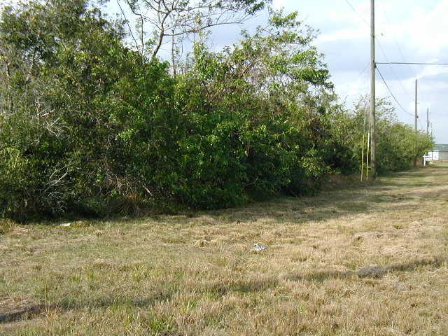1381 Becker Road - Photo 1