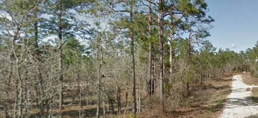 2651 148th Terrace - Photo 1