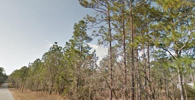 14854 28 Street - Photo 1