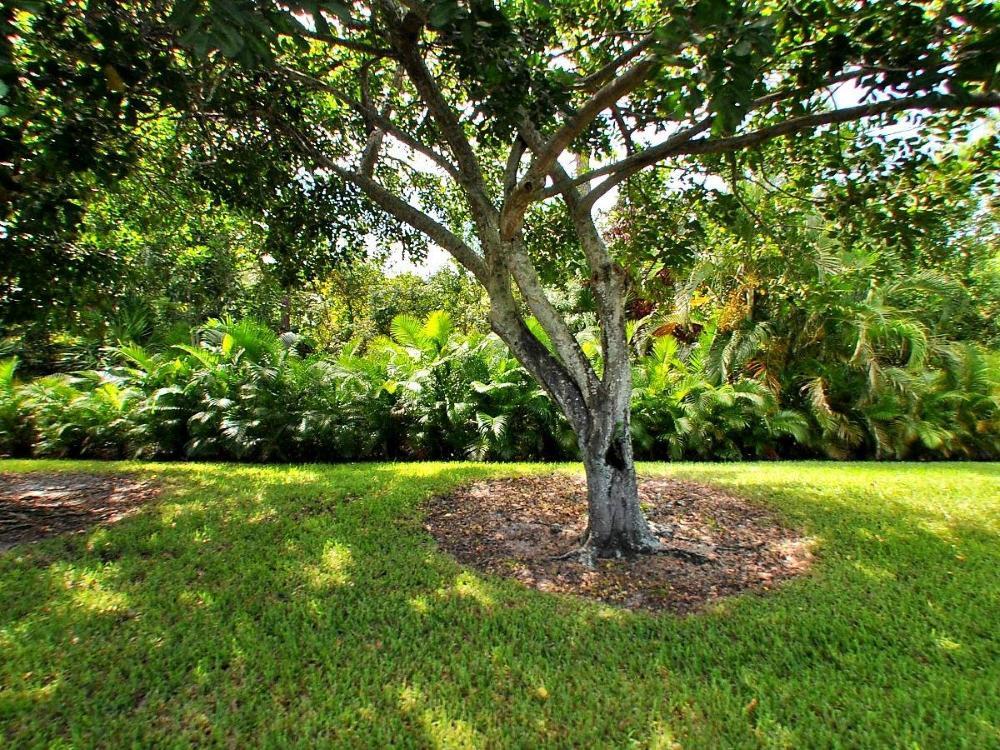 Tbd Brevard Avenue - Photo 1