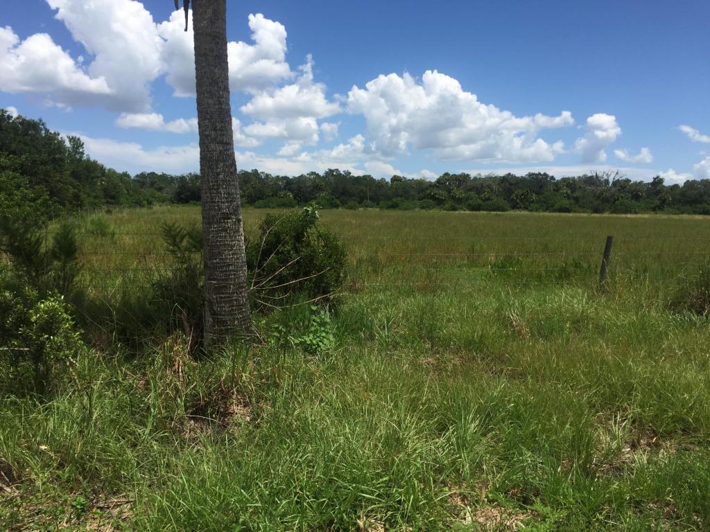 8020 Germany Canal Road - Photo 1