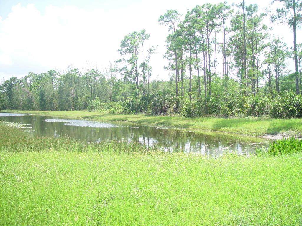 5872 Duckweed Road - Photo 1