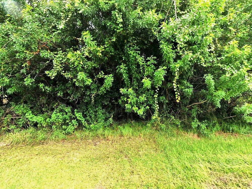 431 Baoy Street - Photo 1